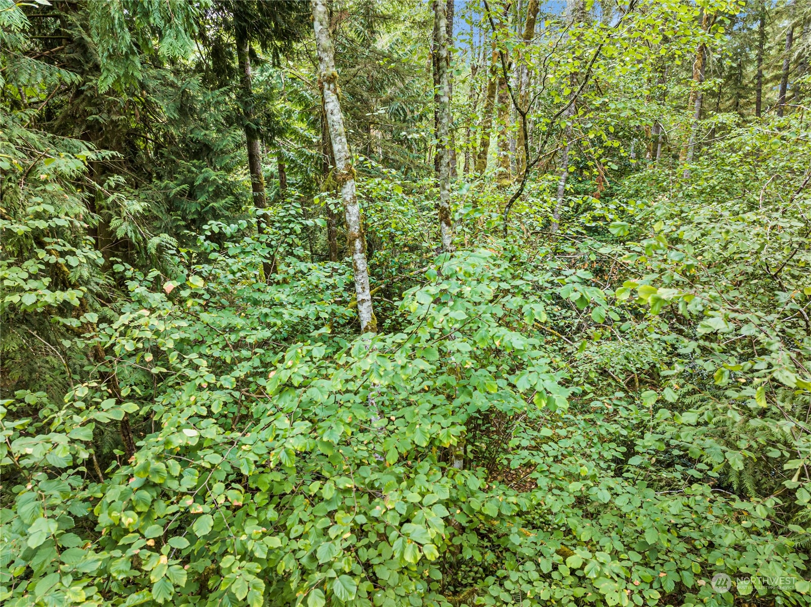 0 Lackey Road NW Vaughn WA 98394