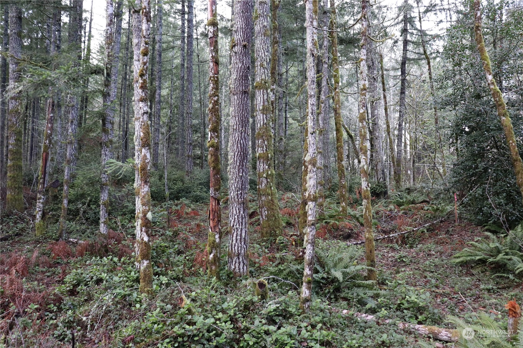 0 Lackey Road NW Vaughn WA 98394