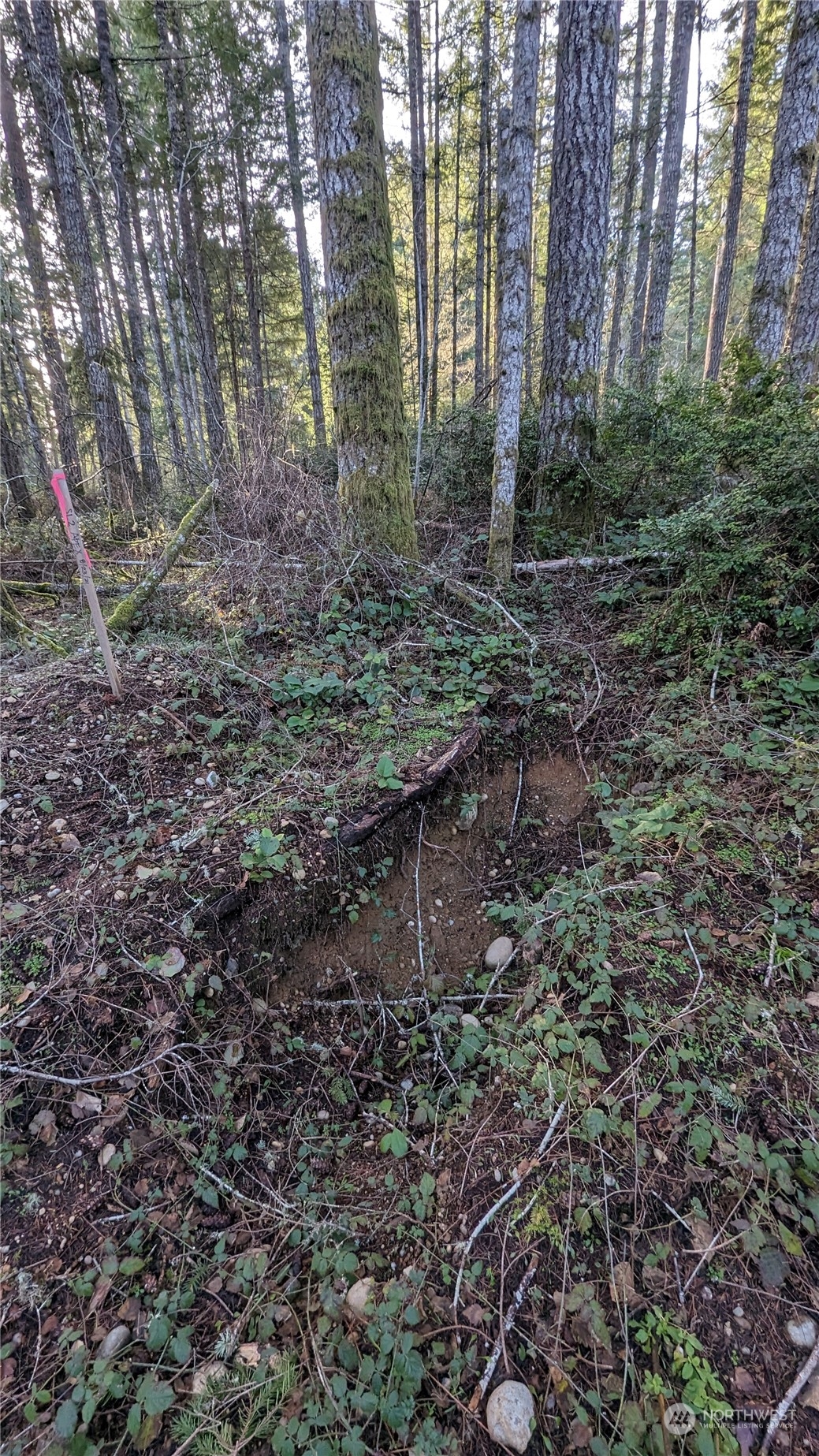 0 Lackey Road NW Vaughn WA 98394