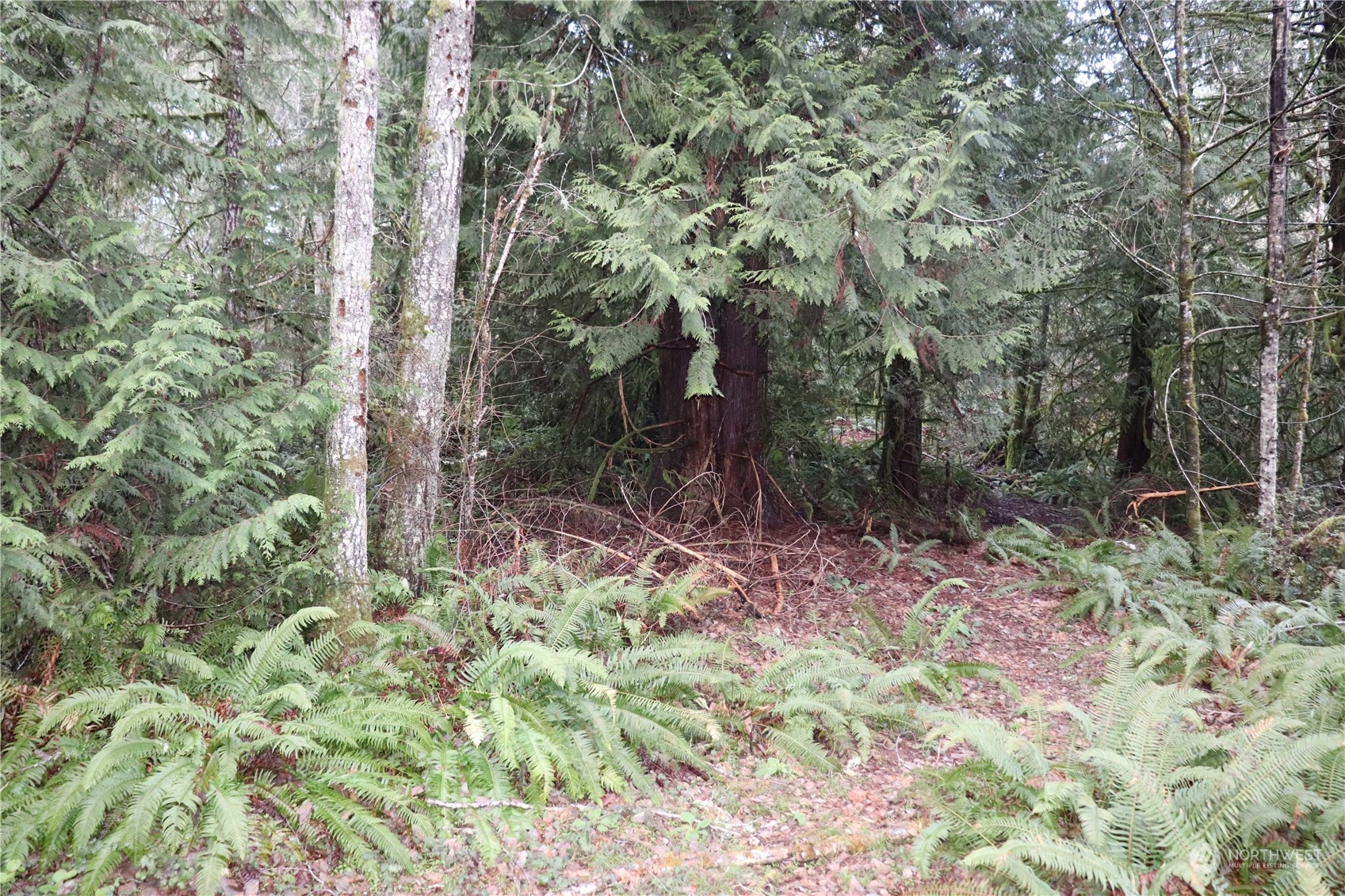 0 Lackey Road NW Vaughn WA 98394