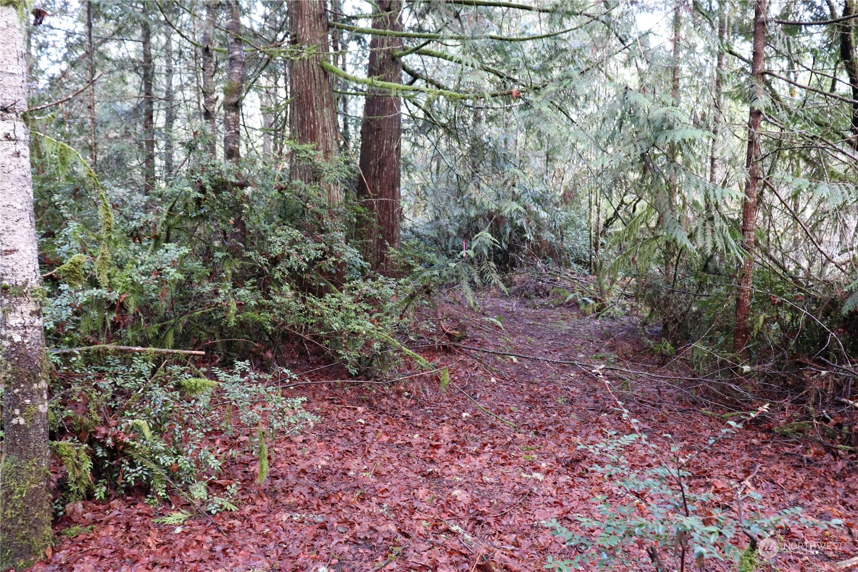 0 Lackey Road NW Vaughn WA 98394
