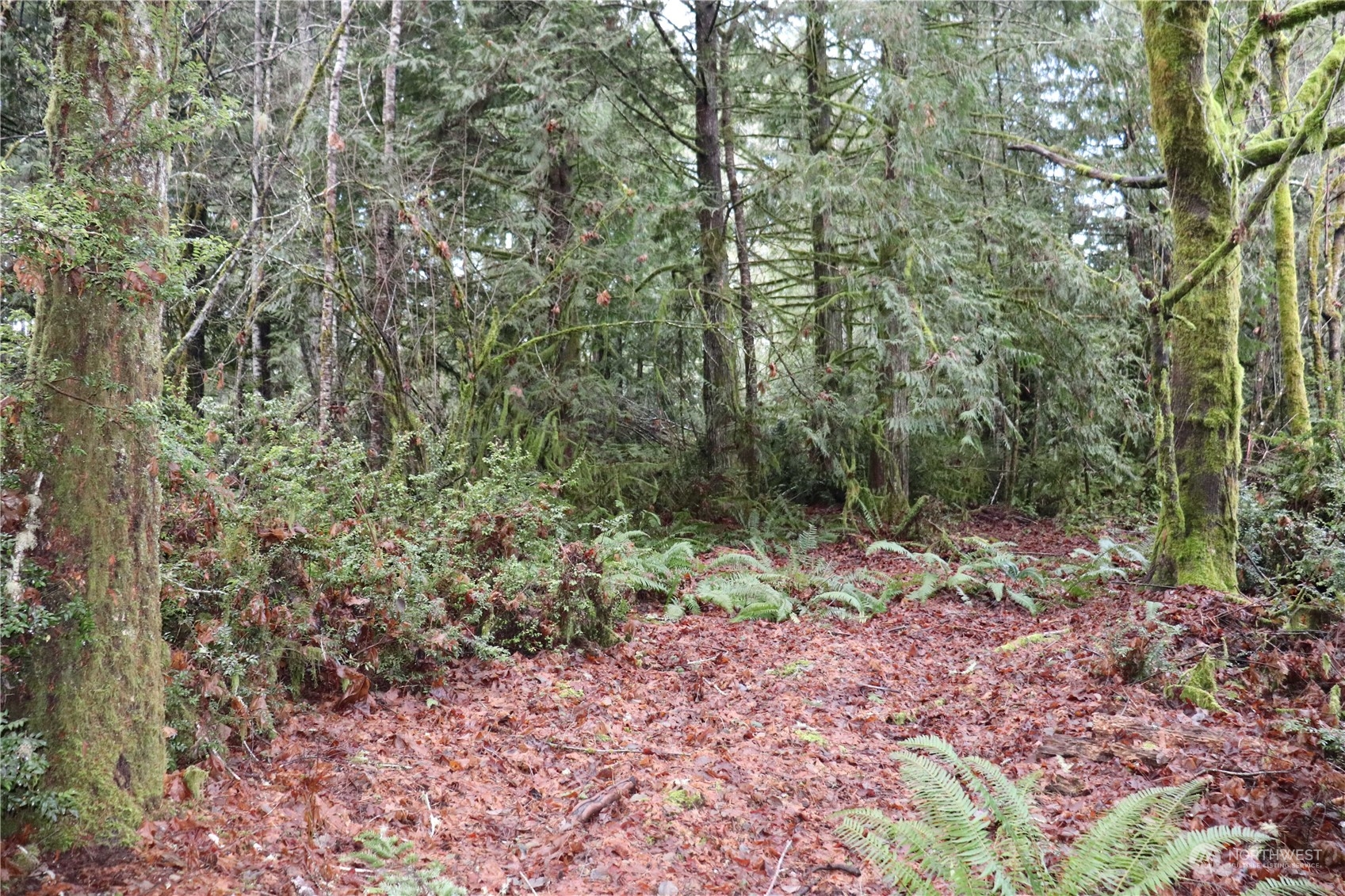 0 Lackey Road NW Vaughn WA 98394