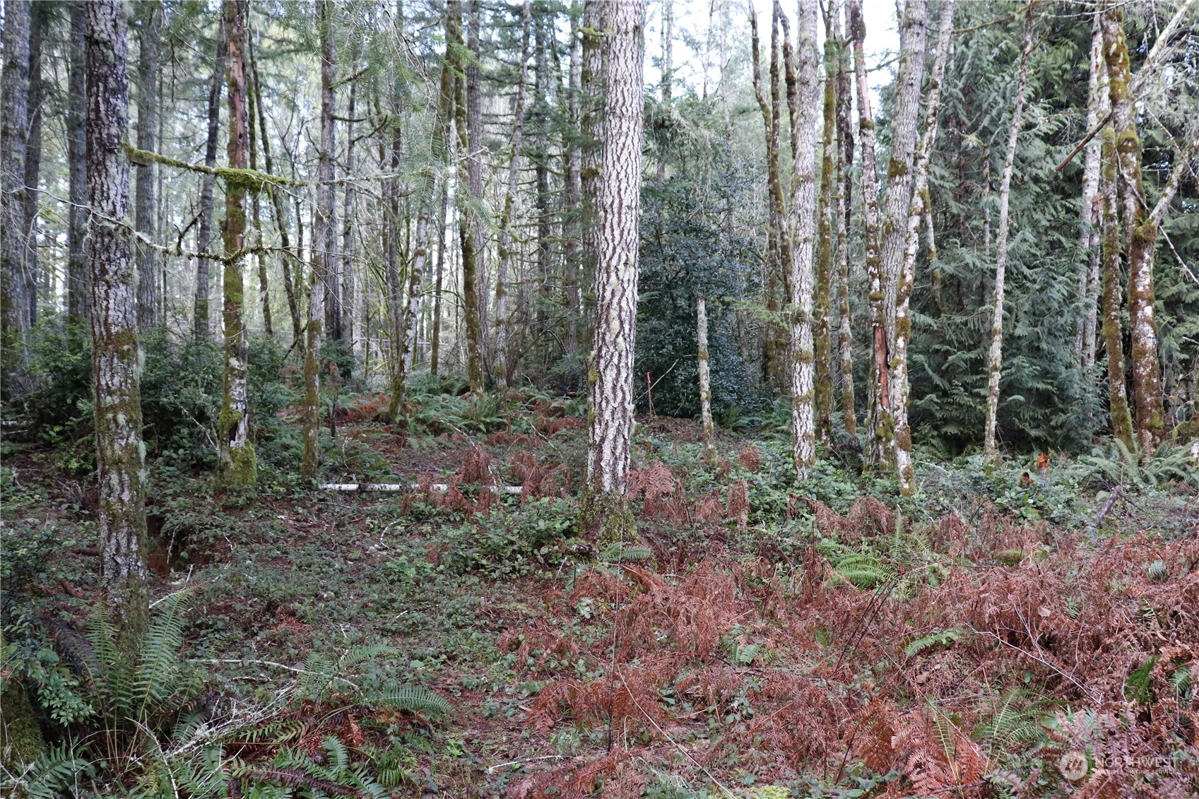 0 Lackey Road NW Vaughn WA 98394