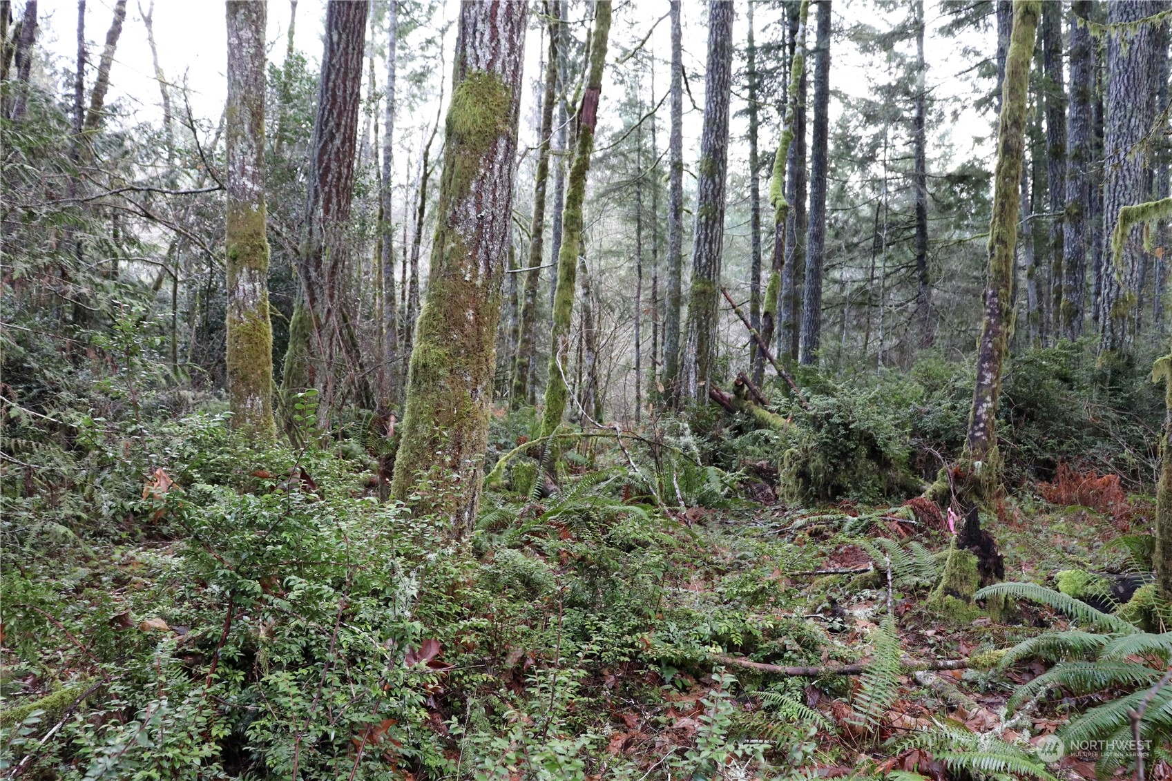 0 Lackey Road NW Vaughn WA 98394