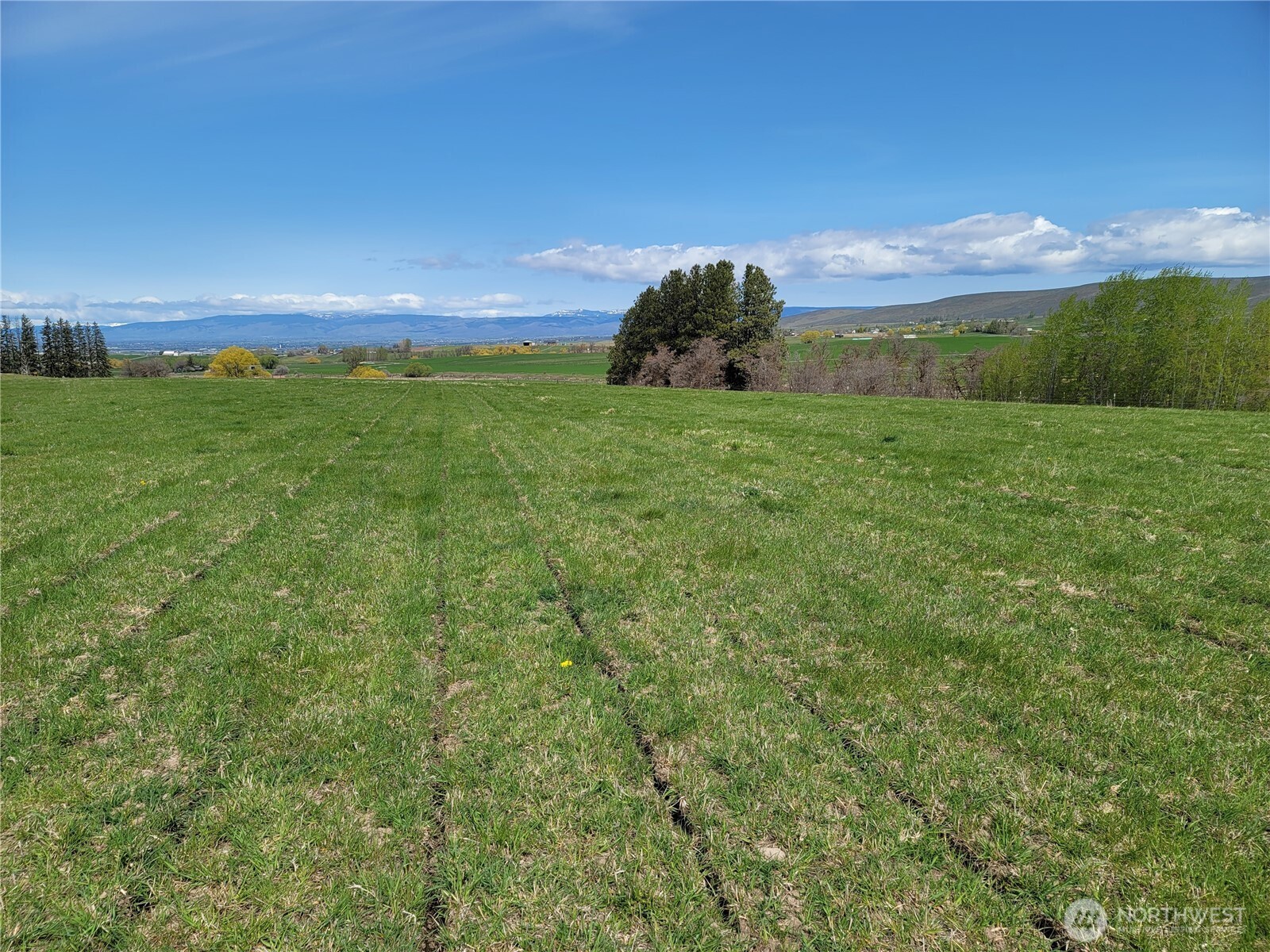 426 Nka Rolling Hill Drive Ellensburg WA 98926