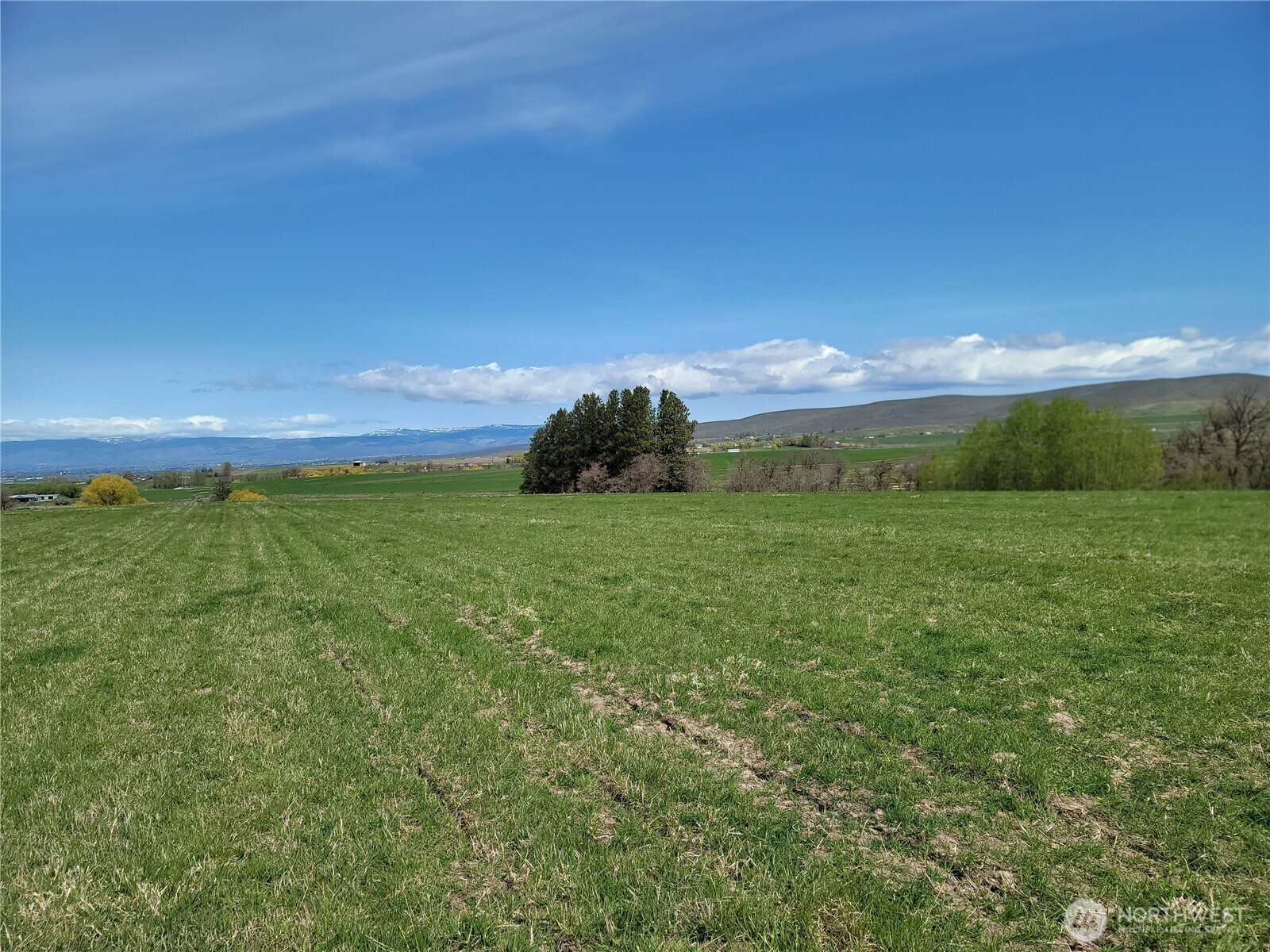426 Nka Rolling Hill Drive Ellensburg WA 98926