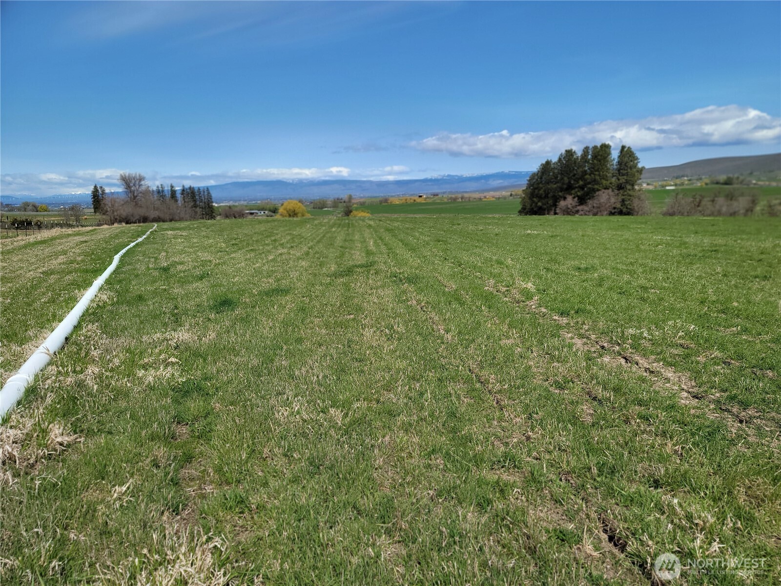 426 Nka Rolling Hill Drive Ellensburg WA 98926