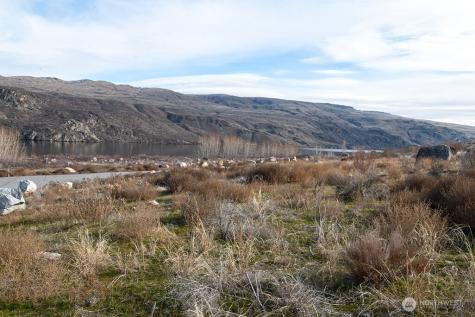 0 Lazy Lightning Lp Lots 1 & 4-6 Pateros WA 98846