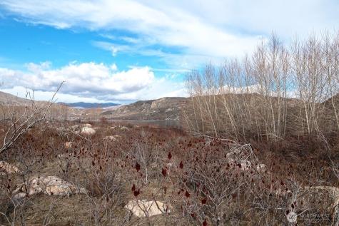 0 Lazy Lightning Lp Lots 1 & 4-6 Pateros WA 98846