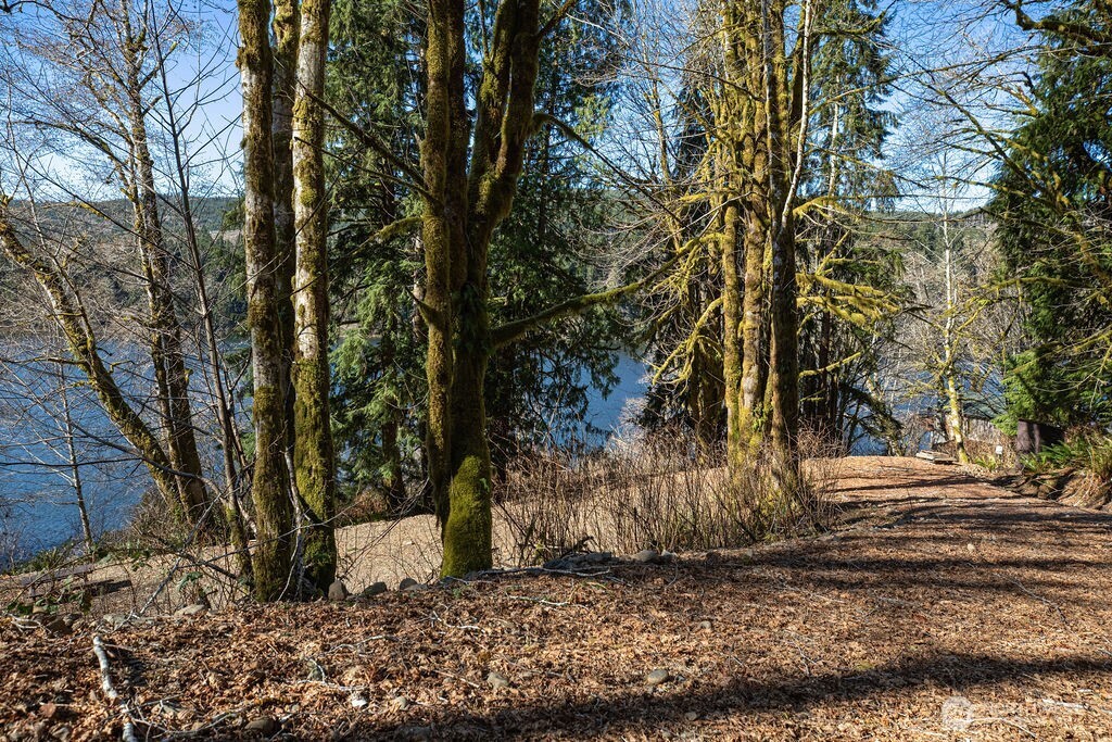 1185 E Lake Pleasant Road Beaver WA 98305
