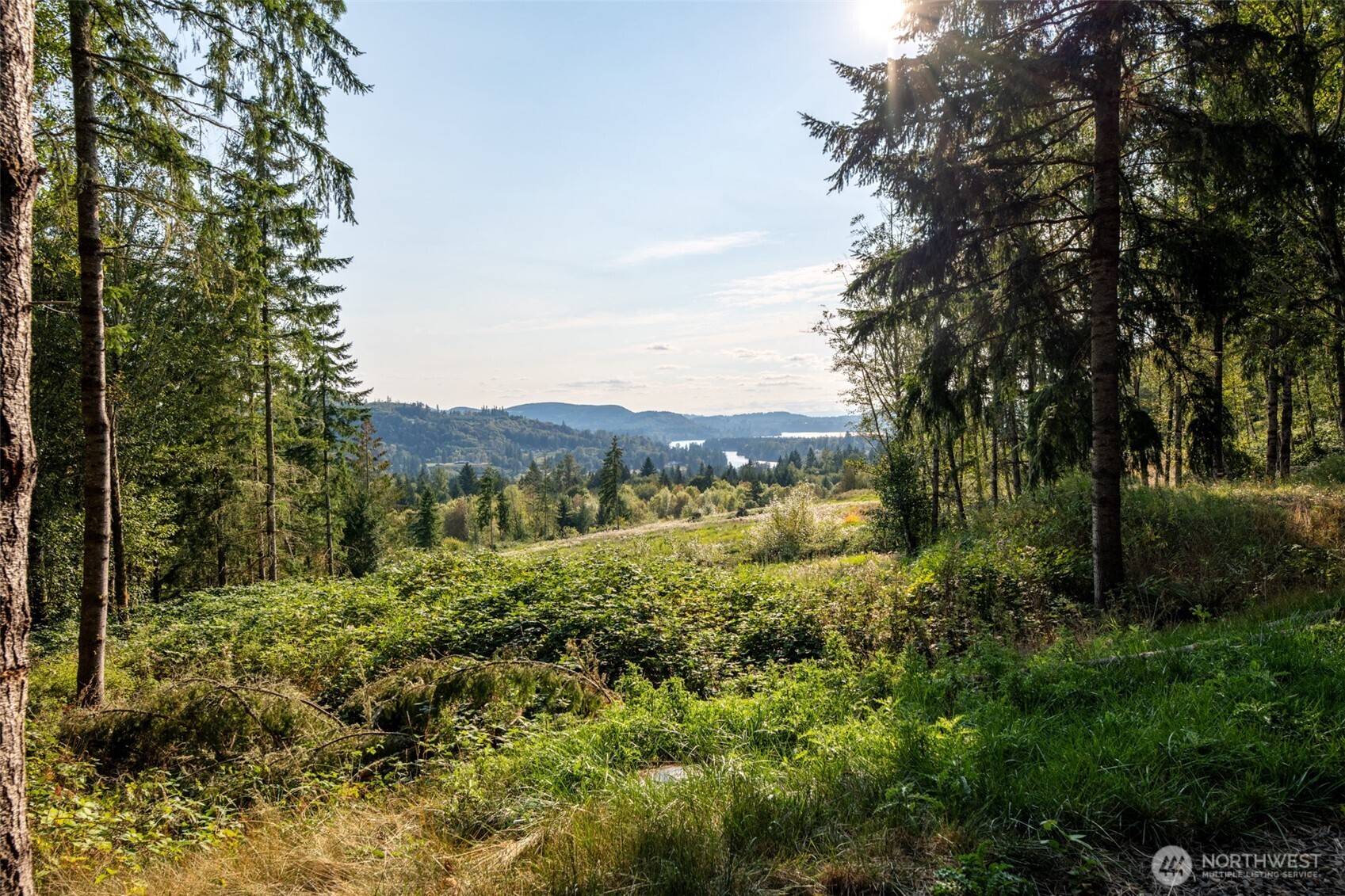 189 Kjesbu Road Silver Creek WA 98585