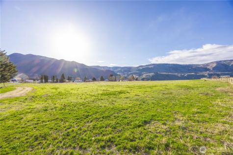 123 Chelan Falls Chelan Falls WA 98817