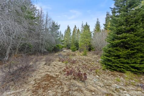 3301 Jenkins Drive Cle Elum WA 98922