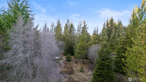 3301 Jenkins Drive Cle Elum WA 98922