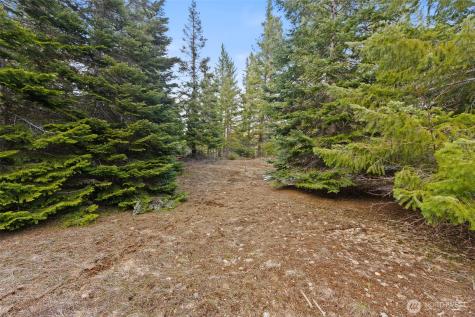 3301 Jenkins Drive Cle Elum WA 98922