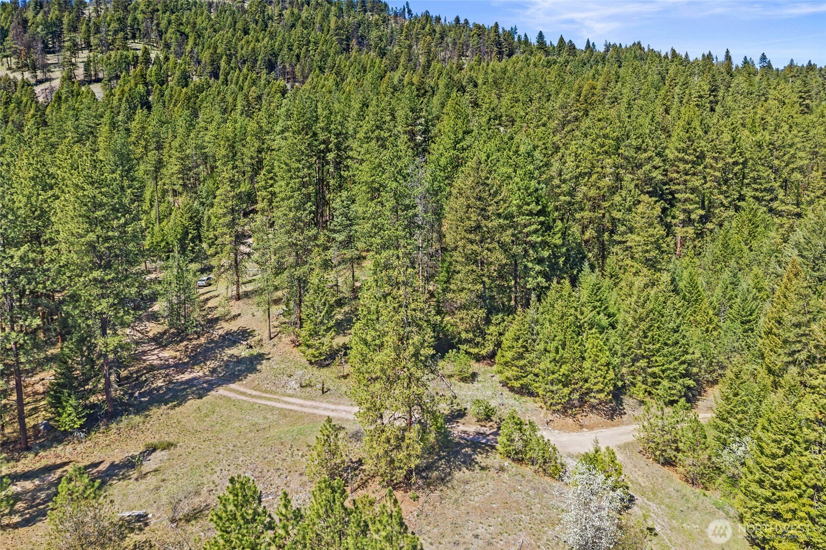 45 Klondike Republic WA 99166