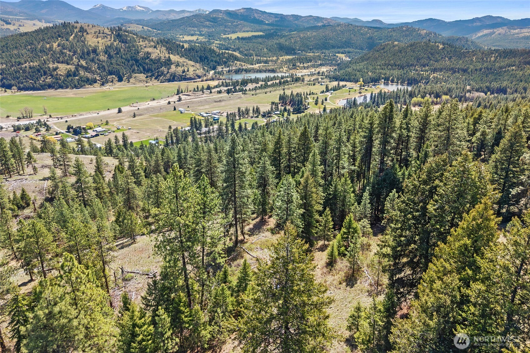 45 Klondike Republic WA 99166