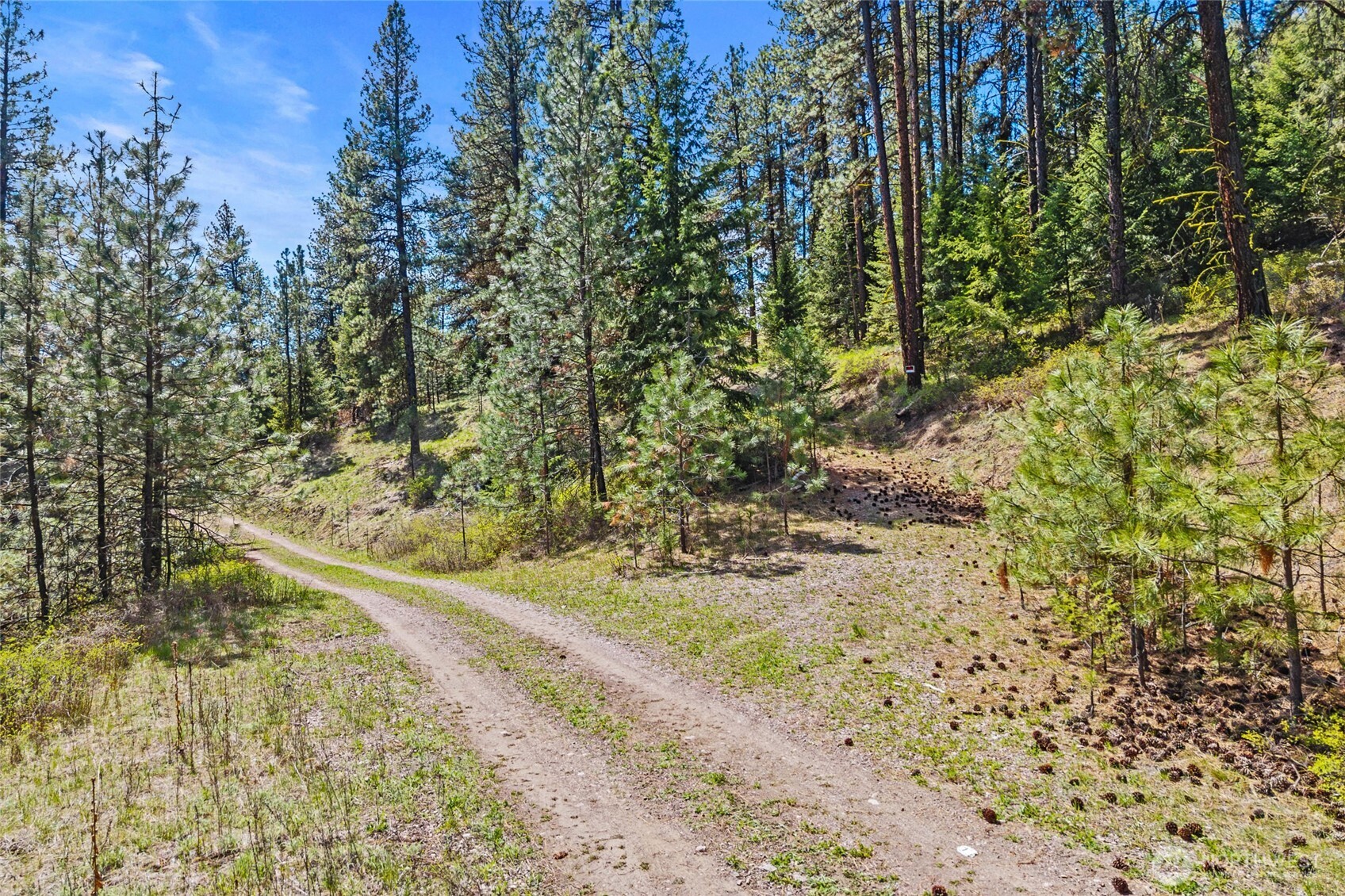 45 Klondike Republic WA 99166