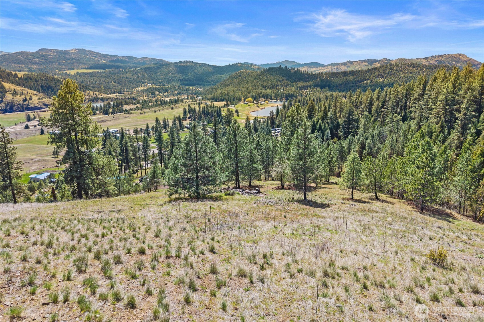 45 Klondike Republic WA 99166