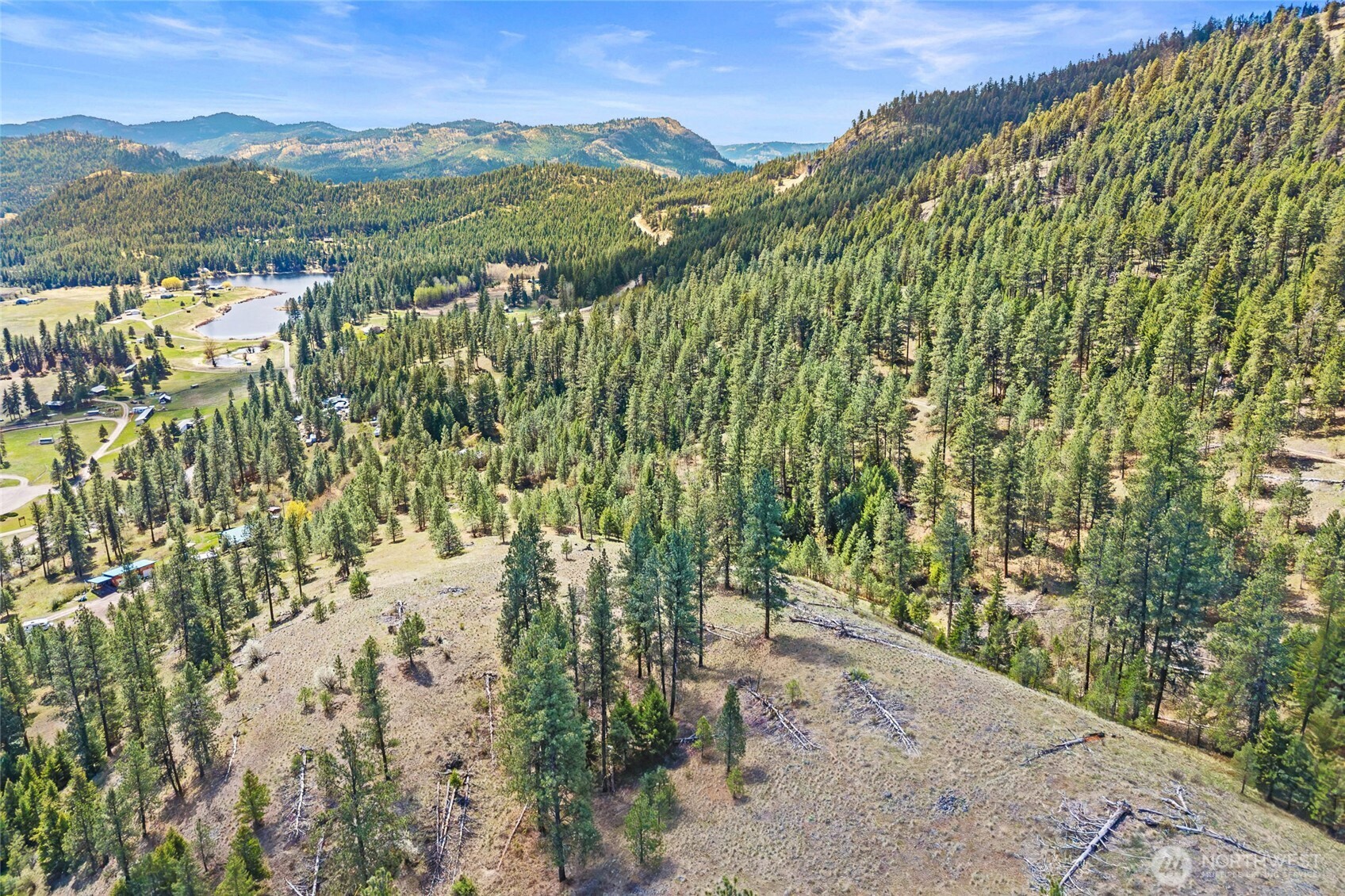 45 Klondike Republic WA 99166