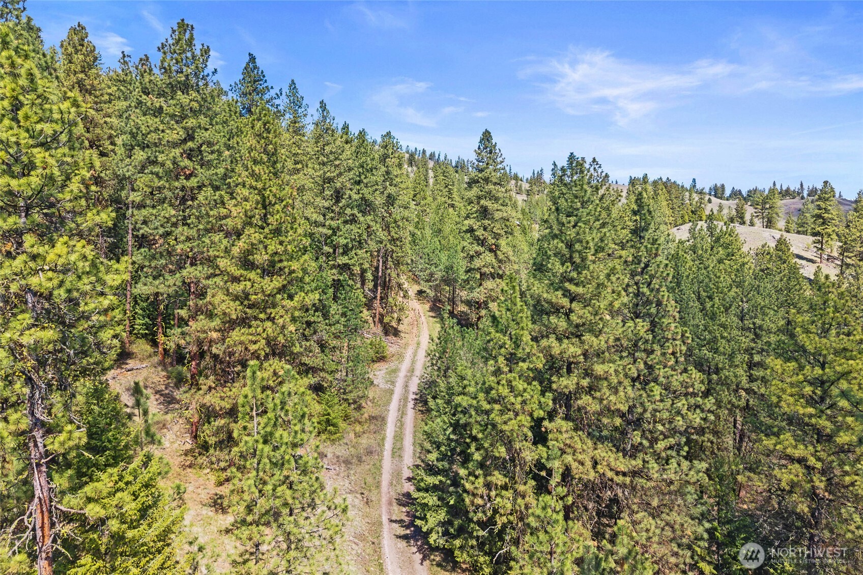 45 Klondike Republic WA 99166
