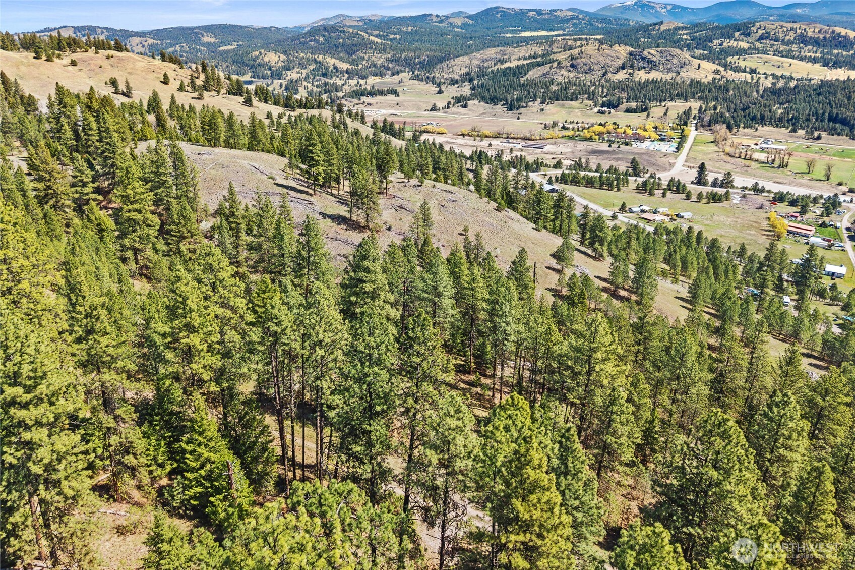 45 Klondike Republic WA 99166