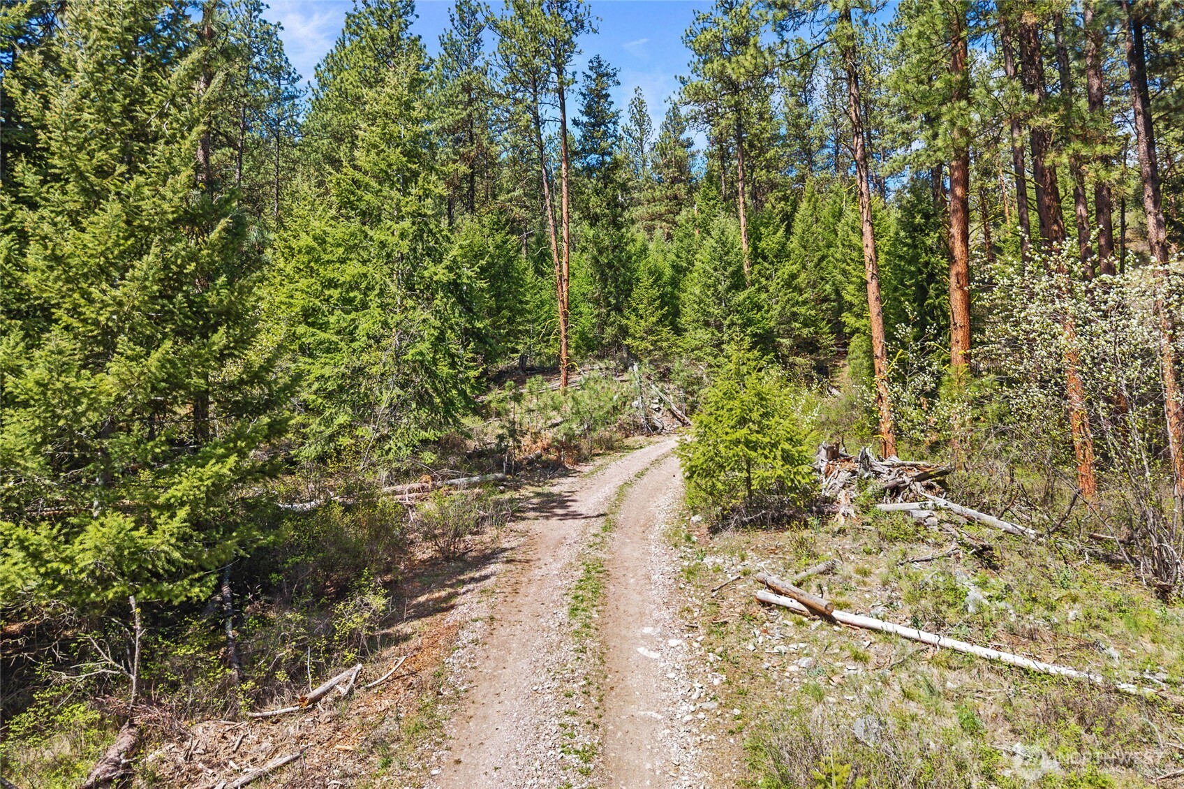 45 Klondike Republic WA 99166