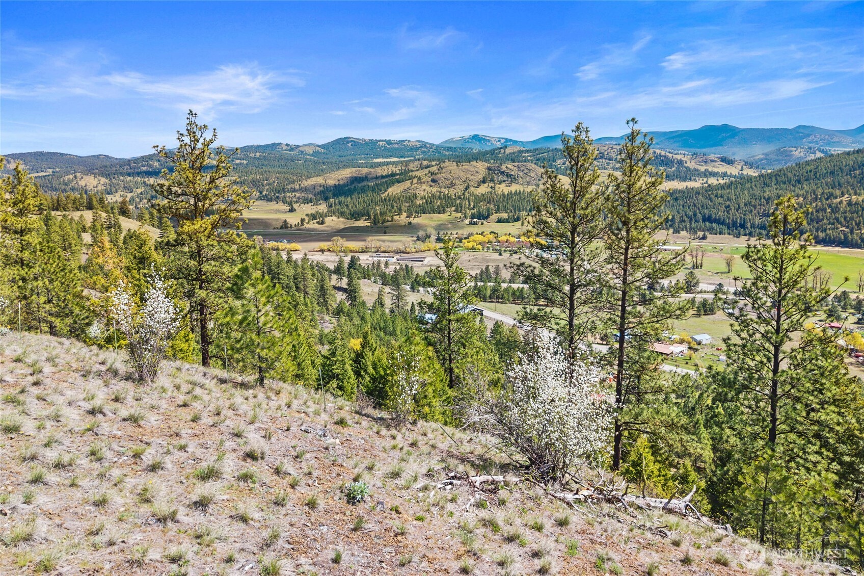 45 Klondike Republic WA 99166
