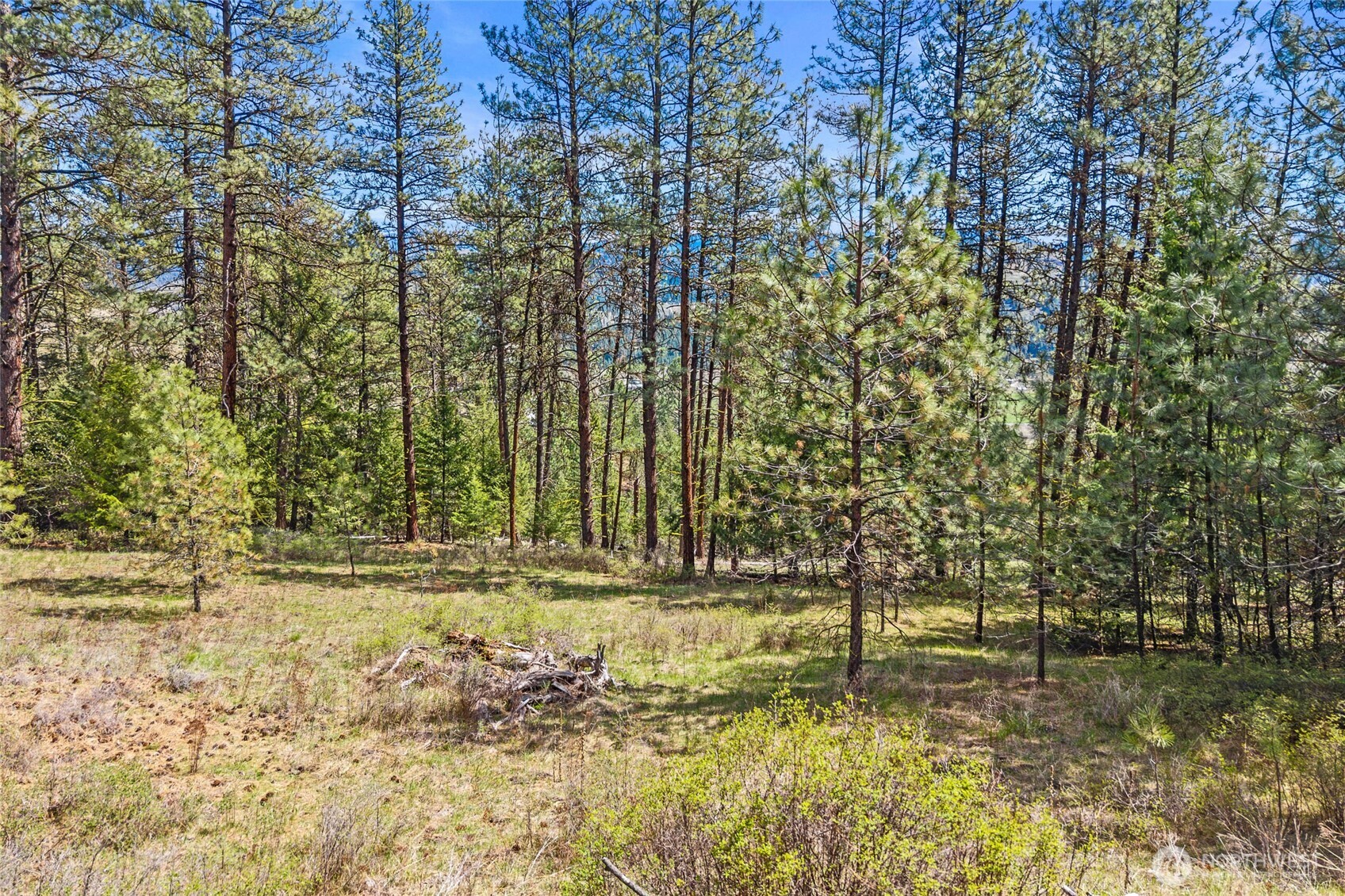 45 Klondike Republic WA 99166