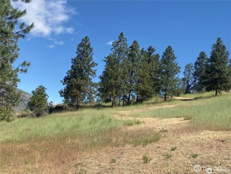 2524 Lakeshore Drive Manson WA 98831