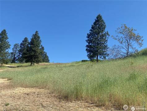 2524 Lakeshore Drive Manson WA 98831