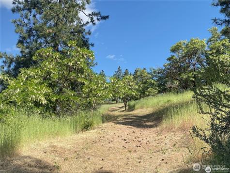 2524 Lakeshore Drive Manson WA 98831