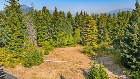 321 Goat Creek Lane Cle Elum WA 98922
