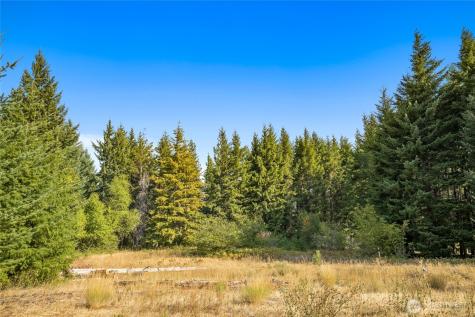 321 Goat Creek Lane Cle Elum WA 98922