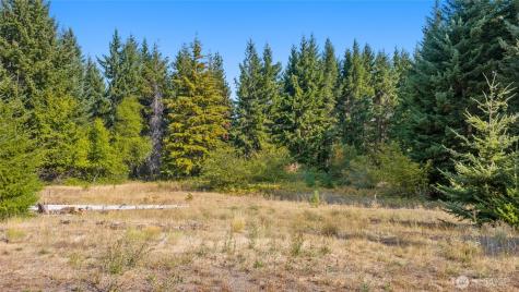 321 Goat Creek Lane Cle Elum WA 98922