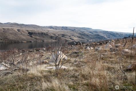 0 Lot 1 Lazy Lightning Lp Pateros WA 98846