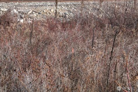 0 Lot 1 Lazy Lightning Lp Pateros WA 98846