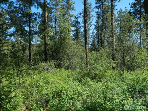 111 Tbd Murphy Ranch Road Tonasket WA 98855