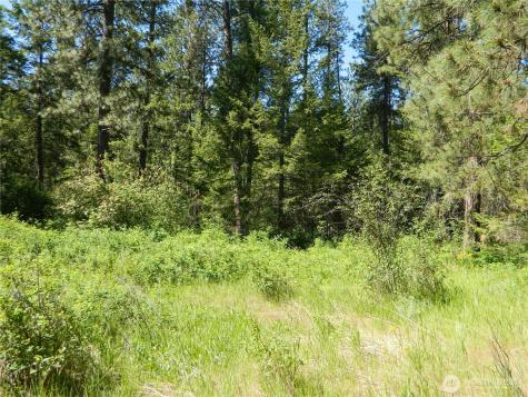 111 Tbd Murphy Ranch Road Tonasket WA 98855