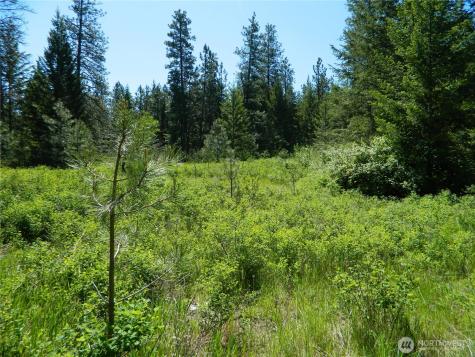 111 Tbd Murphy Ranch Road Tonasket WA 98855