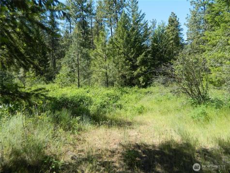 111 Tbd Murphy Ranch Road Tonasket WA 98855