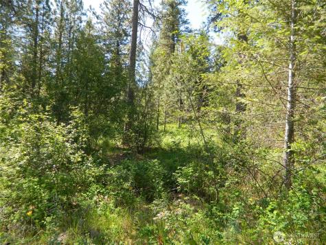 111 Tbd Murphy Ranch Road Tonasket WA 98855