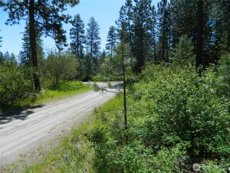 111 Tbd Murphy Ranch Road Tonasket WA 98855