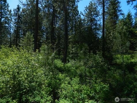 111 Tbd Murphy Ranch Road Tonasket WA 98855