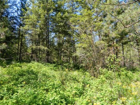 111 Tbd Murphy Ranch Road Tonasket WA 98855