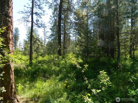 111 Tbd Murphy Ranch Road Tonasket WA 98855