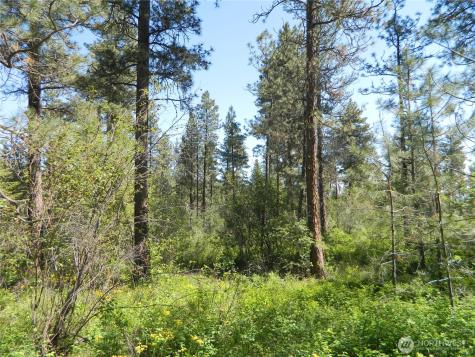111 Tbd Murphy Ranch Road Tonasket WA 98855