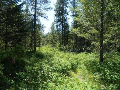 111 Tbd Murphy Ranch Road Tonasket WA 98855