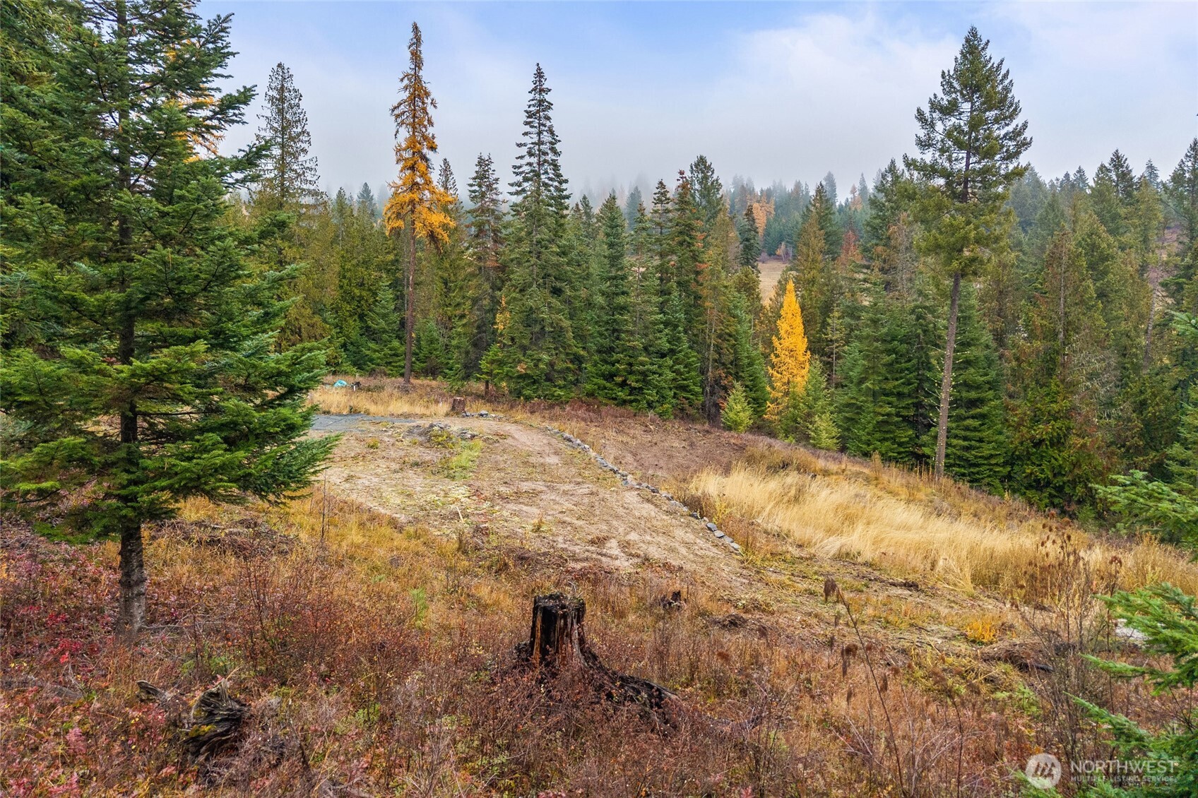 717 Finley Gulch Road Colville WA 99114