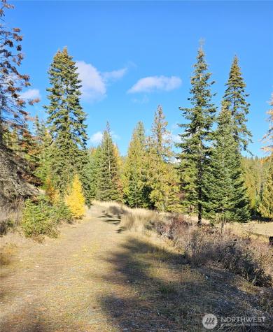 717 Finley Gulch Road Colville WA 99114